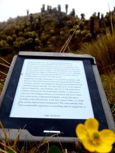 I loved being able to read without distractions. 