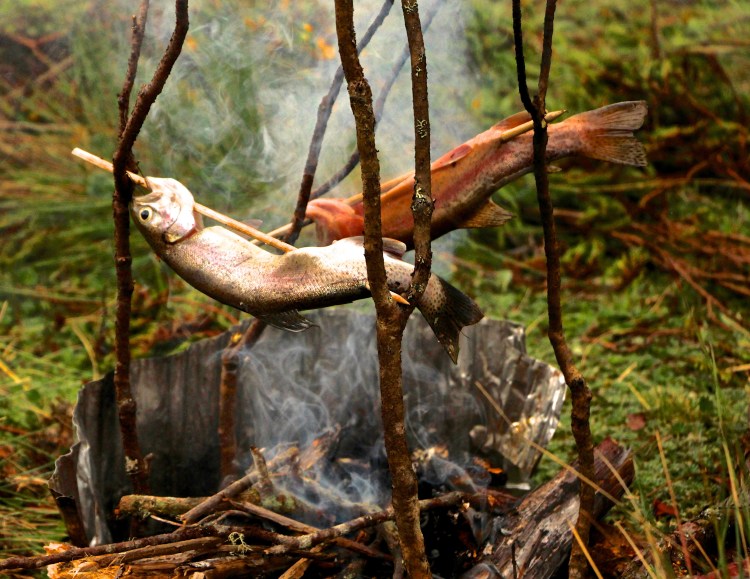 Smoking trout for dinner!