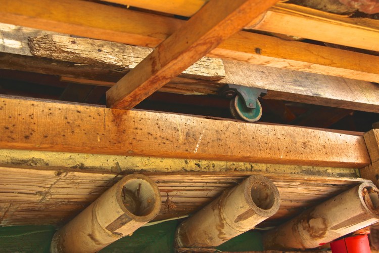 Originally, beans produced in mountainous areas were dried on roof tops under an ingenious roof that rolled to cover the beans. 