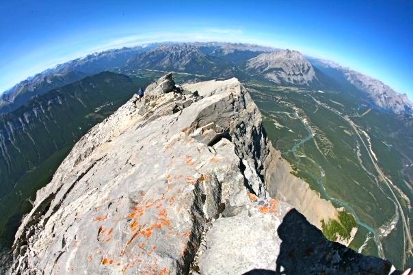 me-the-ant-on-rundle