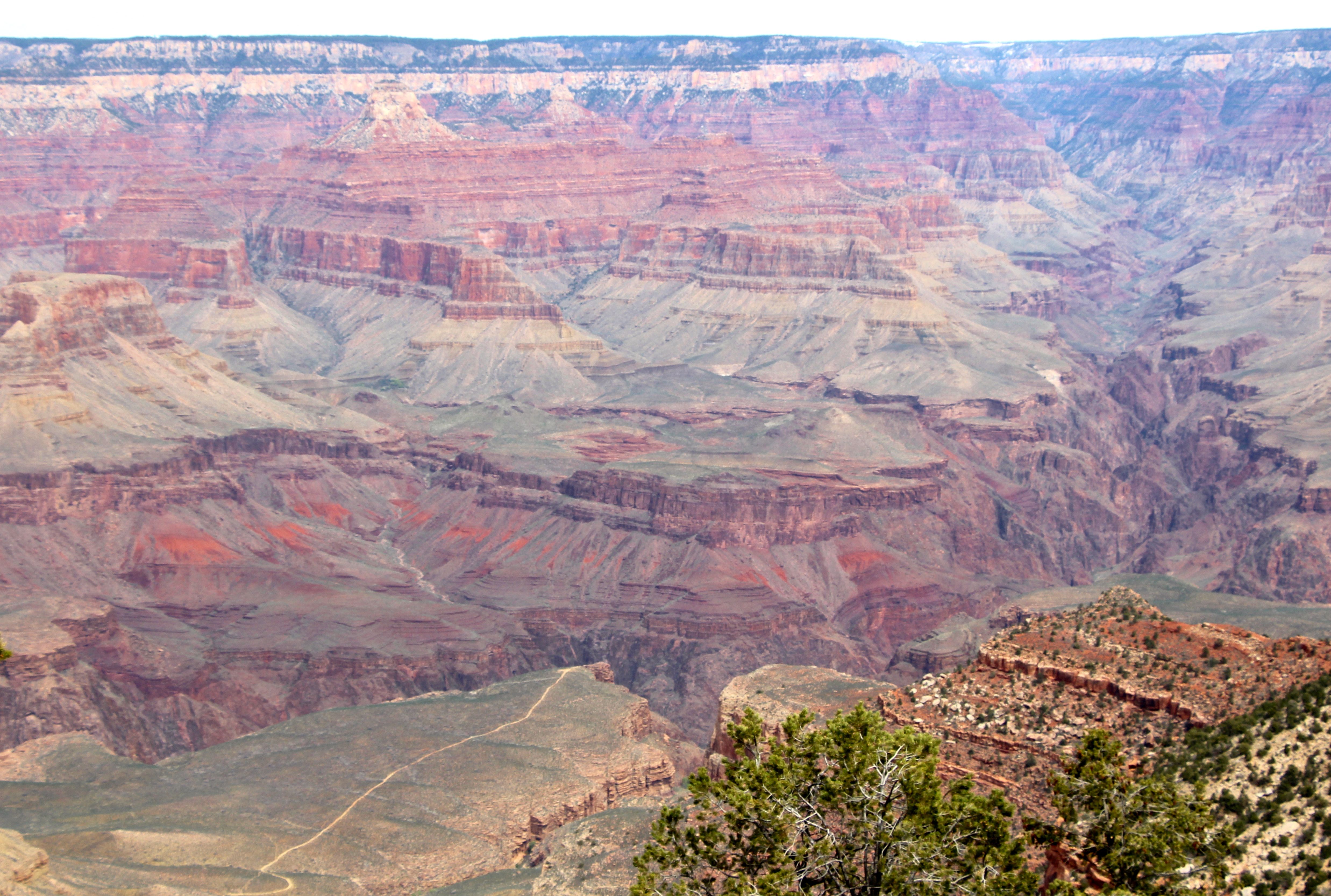 Grand canyon5