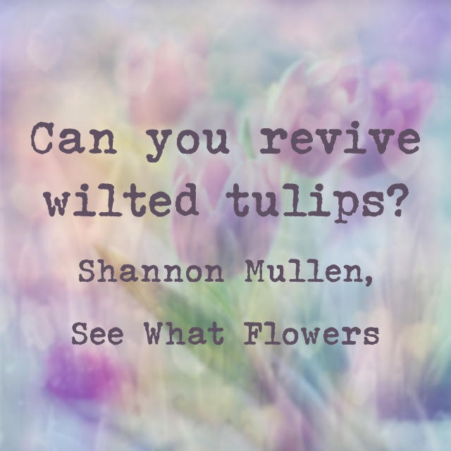 WILTED TULIPS